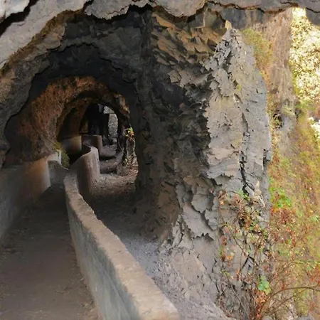 Live Roque Puertito Guimar פוארטיטו דה גימאר