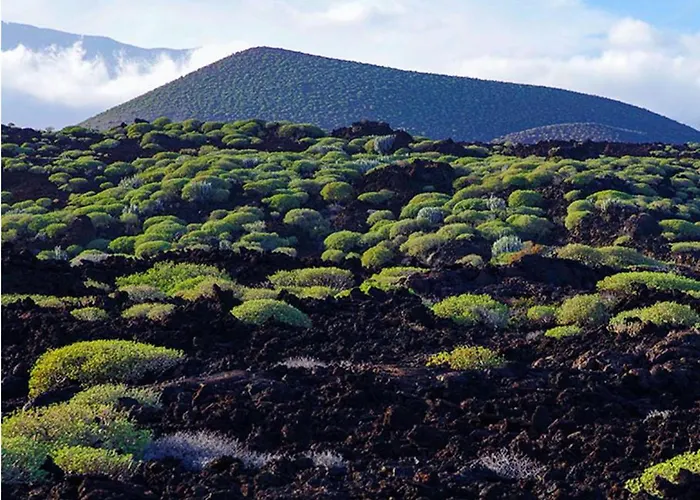 Διαμέρισμα Live Roque Puertito Guimar