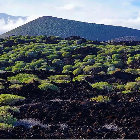 Апартаменты Live Roque Puertito Guimar